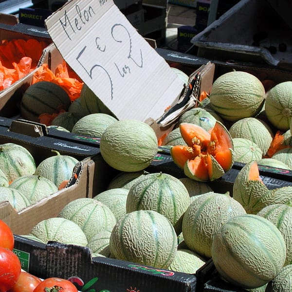 des melons de cavaillon en vente sur un marché