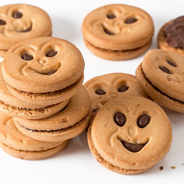biscuit au chocolat de type BN