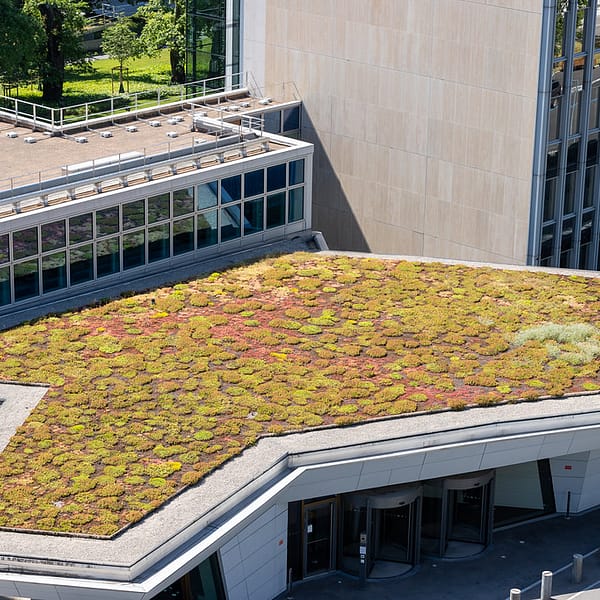toiture végétalisée sur un bâtiment tertiaire
