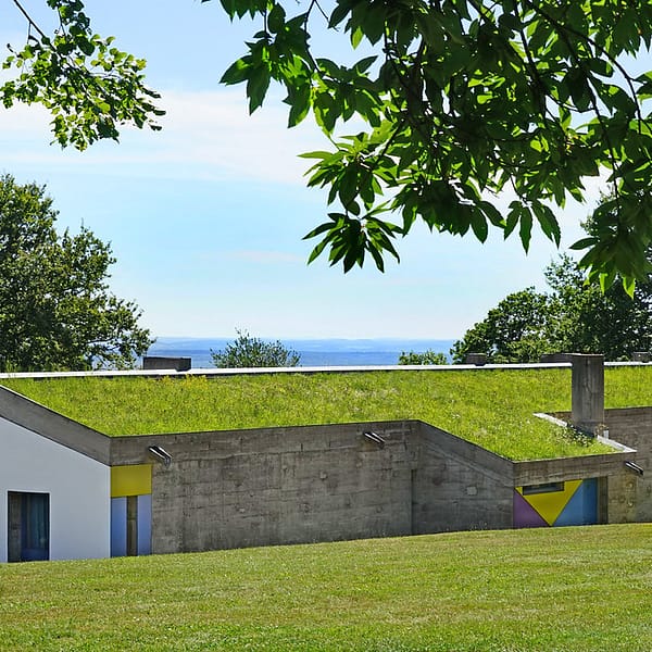 maison avec un toit végétal