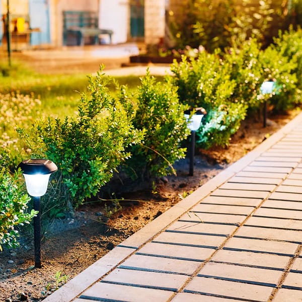 lampes extérieurs le long d'une allée