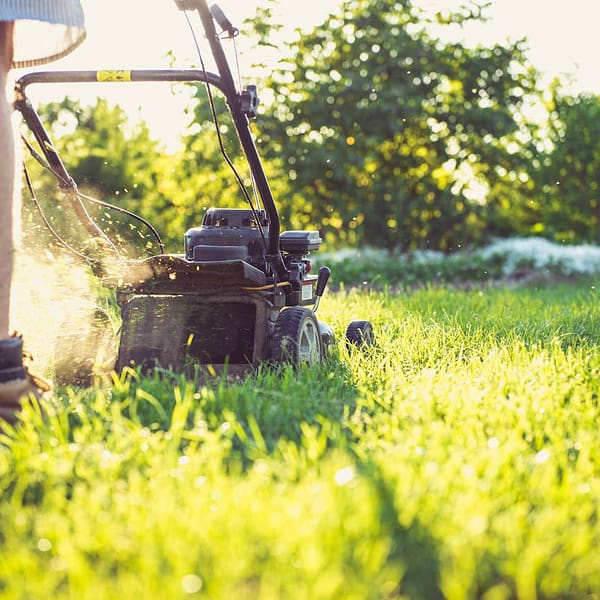 un jardinier qui passe la tondeuse dans son jardin