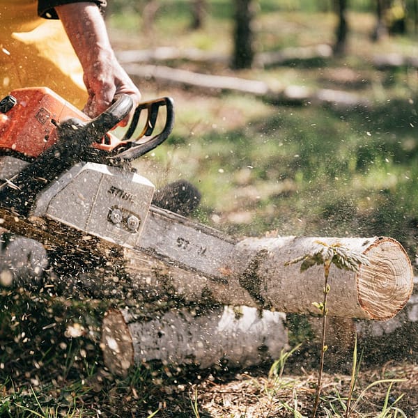 une tronçonneuse qui découpe un tronc d'arbre