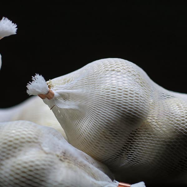 bulbes d'ail dans des filets