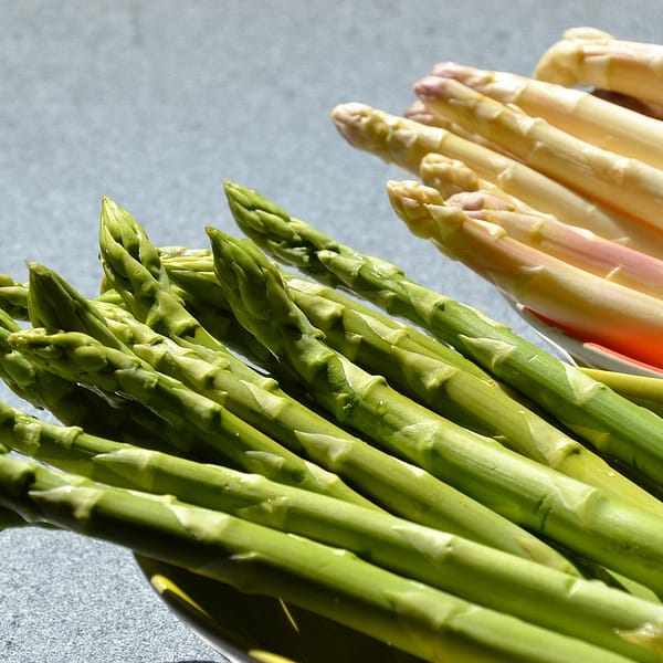 deux bottes d'asperges blanches et vertes