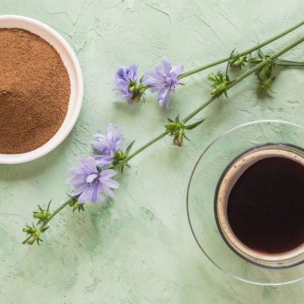 substitut du café à base de chicorée
