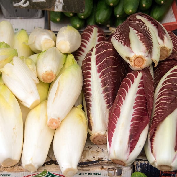 différents types d'endives sur un marché