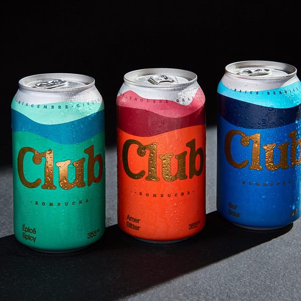 canettes de kombucha