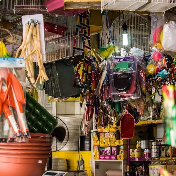 accessoires pour animaux de compagnie dans une animalerie