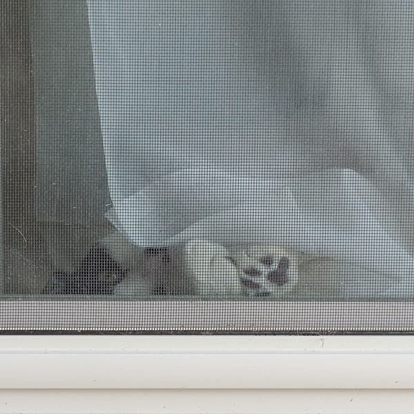 une moustiquaire fermée