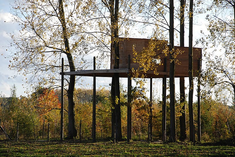 cabanes dans les arbres en France