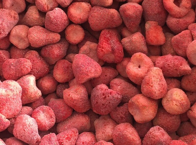 fraises lyophilisées
