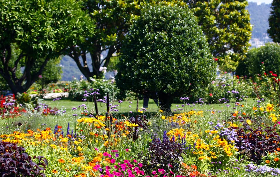 jardin sur les hauteurs de Nice