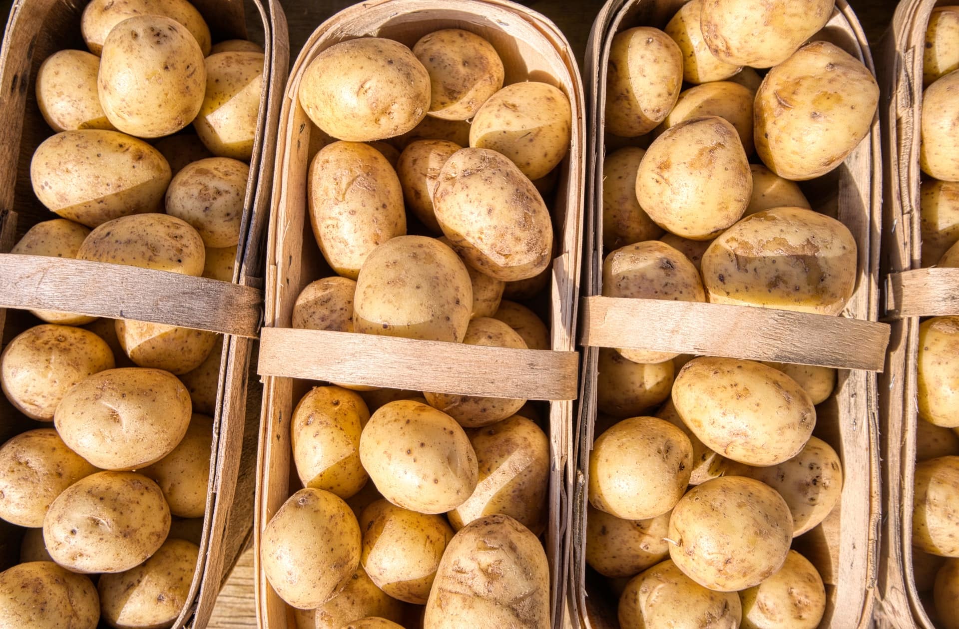 Pommes de terre en France – analyse complète