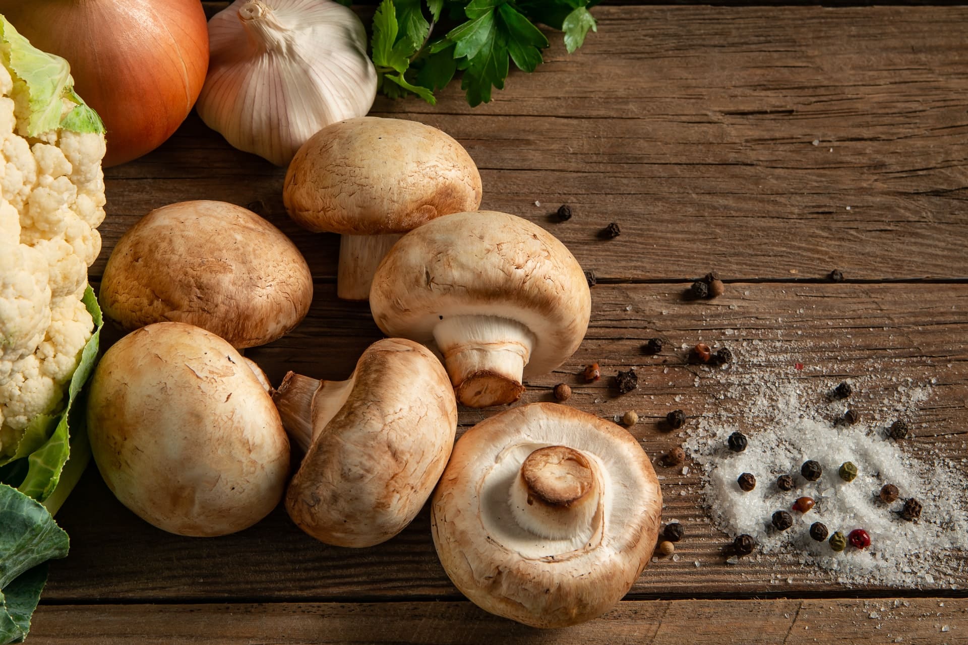 Champignons en France – analyse complète
