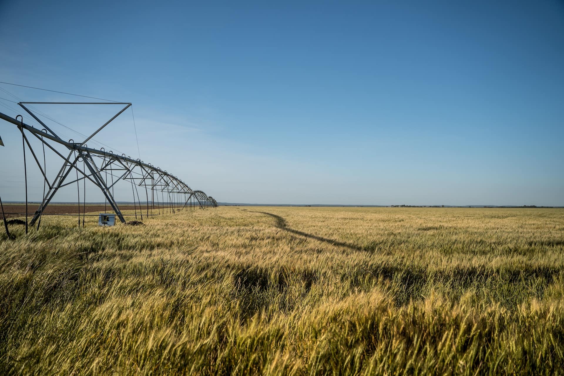 Pack de 7 études sur l’agriculture en France – analyse complète (-15%)
