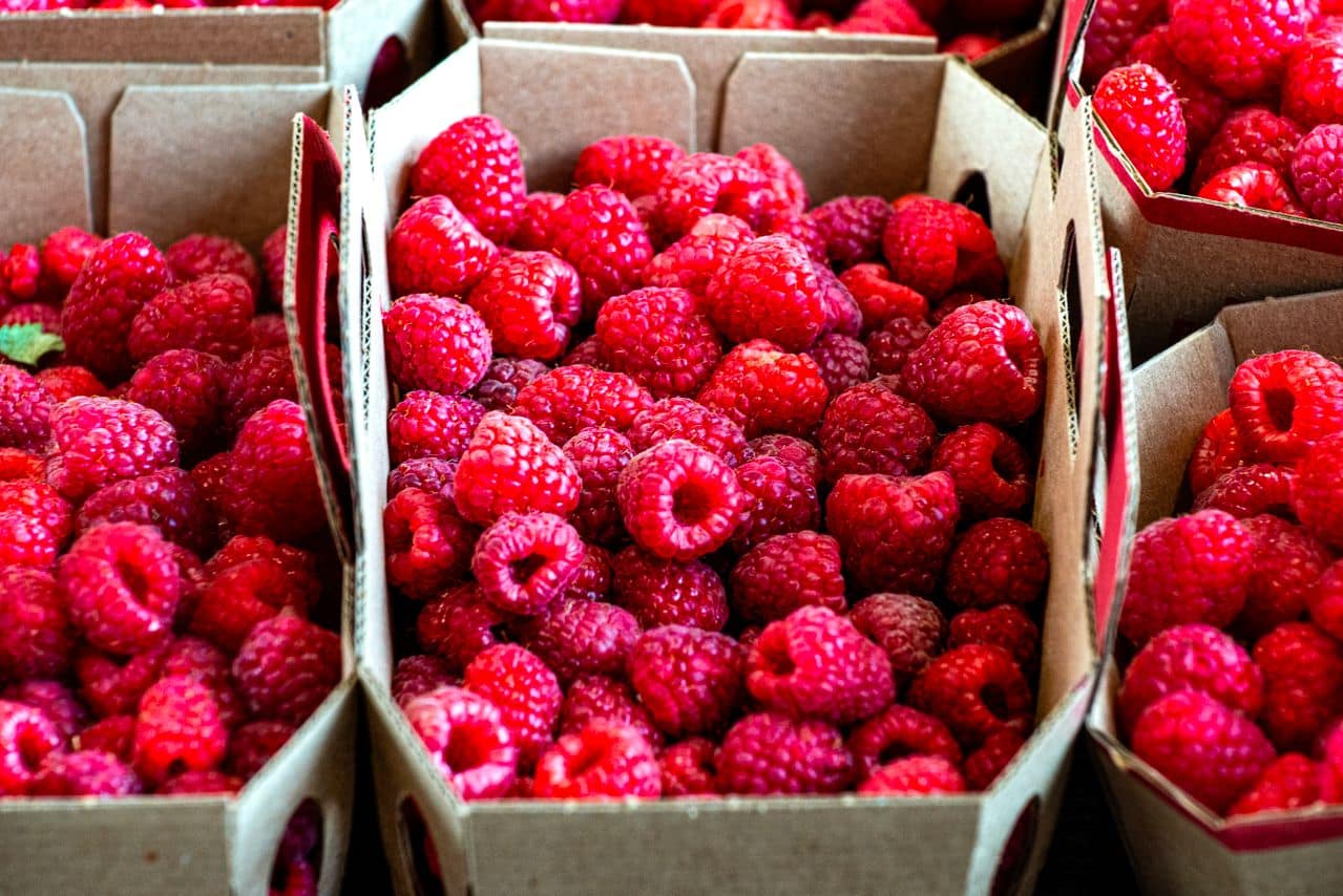 Framboises en France – analyse complète